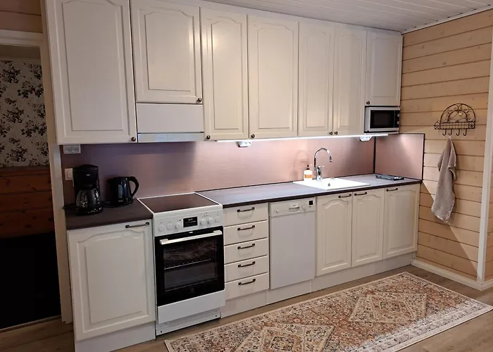 Joutsen * Париккала