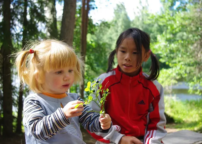 Joutsen * Париккала